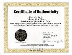 Walt Disney Authentic Signed 2.75x4.25 Cut Signature Sears LOA & PSA/DNA Slabbed